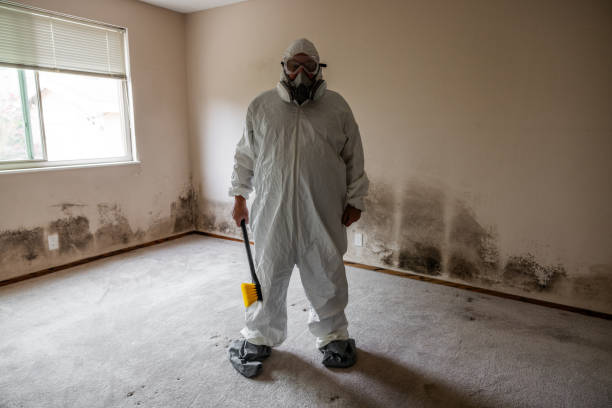 Best Mold Testing and Inspection Services in Golden Glades, FL